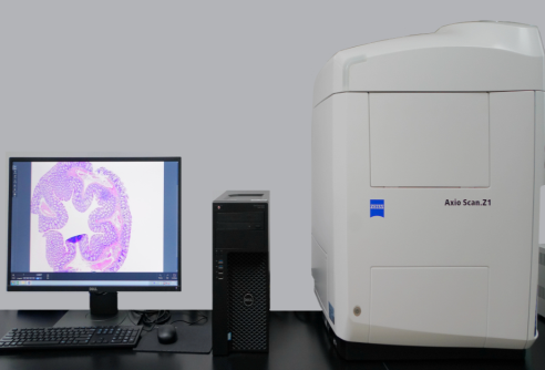 全自动组织切片分析系统